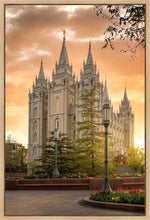 Load image into Gallery viewer, Salt Lake - The Promise