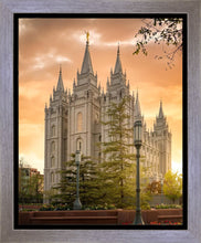 Load image into Gallery viewer, Salt Lake - The Promise