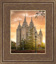 Load image into Gallery viewer, Salt Lake - The Promise