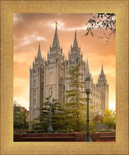 Load image into Gallery viewer, Salt Lake - The Promise