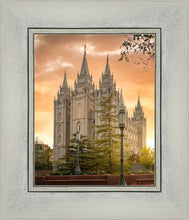 Load image into Gallery viewer, Salt Lake - The Promise