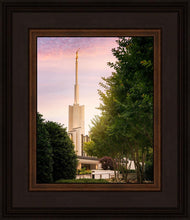 Load image into Gallery viewer, Atlanta Garden