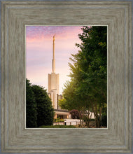 Load image into Gallery viewer, Atlanta Garden