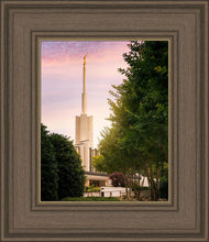 Load image into Gallery viewer, Atlanta Garden