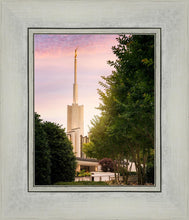 Load image into Gallery viewer, Atlanta Garden