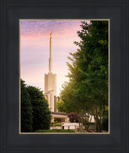 Load image into Gallery viewer, Atlanta Garden