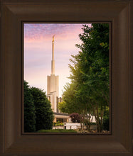 Load image into Gallery viewer, Atlanta Garden