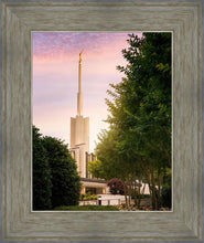 Load image into Gallery viewer, Atlanta Garden