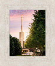 Load image into Gallery viewer, Atlanta Garden