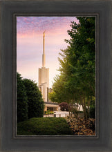 Load image into Gallery viewer, Atlanta Garden