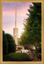 Load image into Gallery viewer, Atlanta Garden