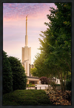 Load image into Gallery viewer, Atlanta Garden