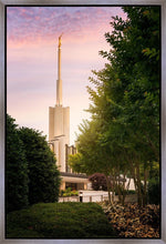 Load image into Gallery viewer, Atlanta Garden