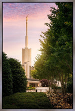 Load image into Gallery viewer, Atlanta Garden
