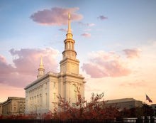 Load image into Gallery viewer, Philadelphia Eternal Union