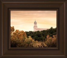 Load image into Gallery viewer, Cedar City Golden