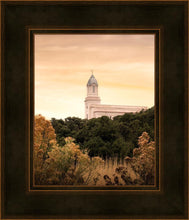 Load image into Gallery viewer, Cedar City Golden