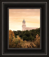 Load image into Gallery viewer, Cedar City Golden