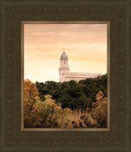 Load image into Gallery viewer, Cedar City Golden