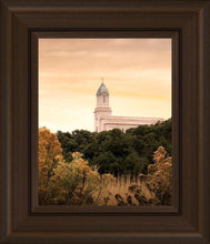 Load image into Gallery viewer, Cedar City Golden
