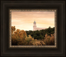 Load image into Gallery viewer, Cedar City Golden