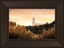 Load image into Gallery viewer, Cedar City Golden