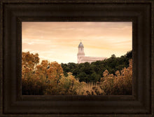 Load image into Gallery viewer, Cedar City Golden