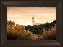 Load image into Gallery viewer, Cedar City Golden