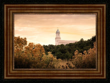 Load image into Gallery viewer, Cedar City Golden