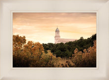 Load image into Gallery viewer, Cedar City Golden