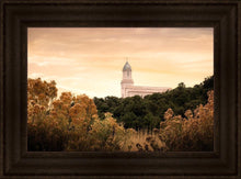 Load image into Gallery viewer, Cedar City Golden