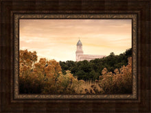 Load image into Gallery viewer, Cedar City Golden