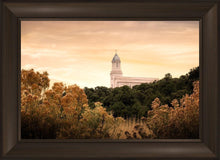 Load image into Gallery viewer, Cedar City Golden