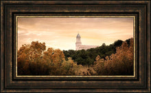 Load image into Gallery viewer, Cedar City Golden