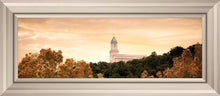 Load image into Gallery viewer, Cedar City Golden