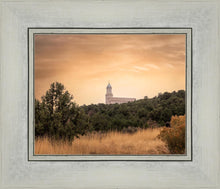 Load image into Gallery viewer, Cedar Hills