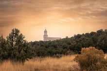 Load image into Gallery viewer, Cedar Hills
