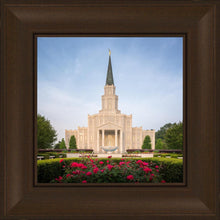 Load image into Gallery viewer, Houston Pastel Morning