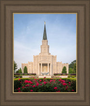 Load image into Gallery viewer, Houston Pastel Morning