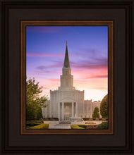 Load image into Gallery viewer, Houston Walk in the Light
