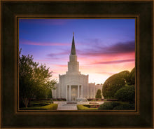 Load image into Gallery viewer, Houston Walk in the Light