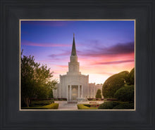 Load image into Gallery viewer, Houston Walk in the Light