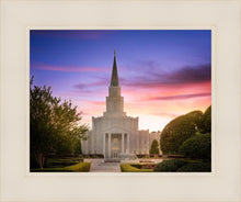 Load image into Gallery viewer, Houston Walk in the Light