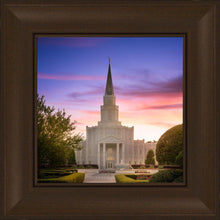 Load image into Gallery viewer, Houston Walk in the Light