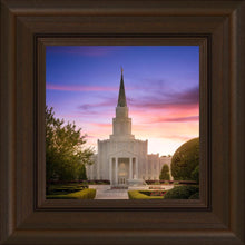Load image into Gallery viewer, Houston Walk in the Light