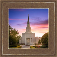 Load image into Gallery viewer, Houston Walk in the Light
