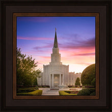 Load image into Gallery viewer, Houston Walk in the Light