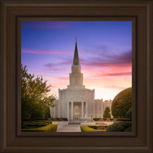 Load image into Gallery viewer, Houston Walk in the Light