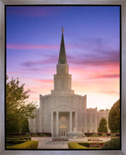 Load image into Gallery viewer, Houston Walk in the Light