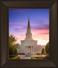 Load image into Gallery viewer, Houston Walk in the Light